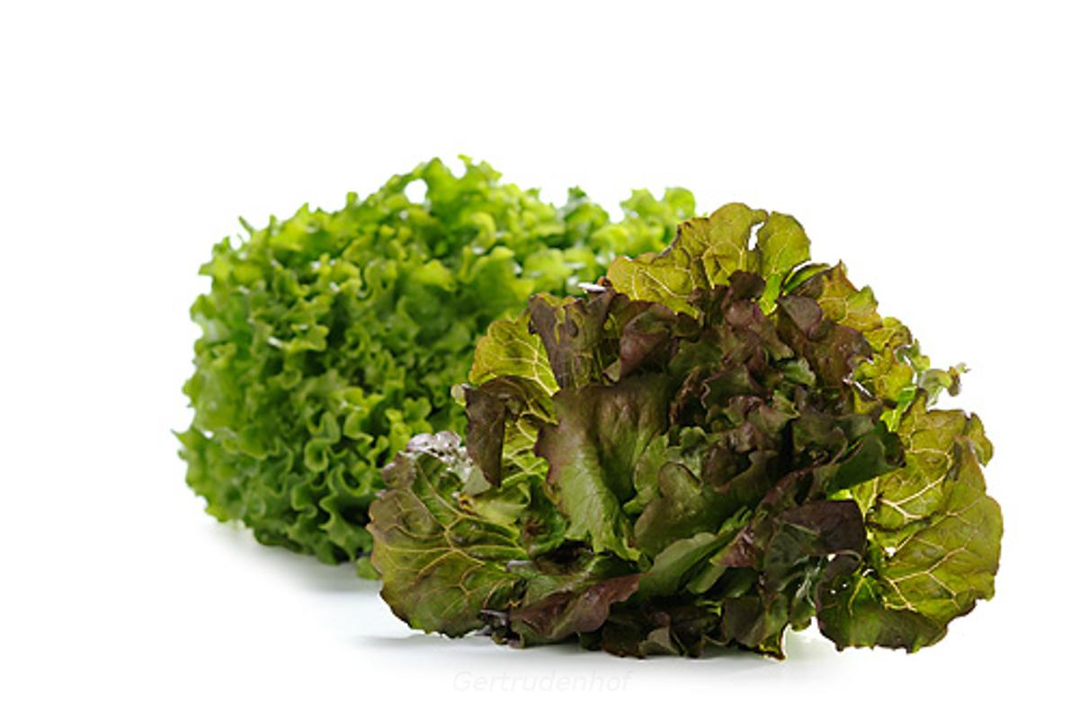 Salat der Woche, regional