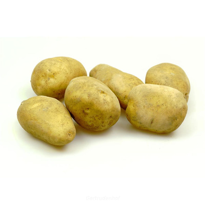 Produktfoto zu Kartoffeln mehligk. 12,5 kg