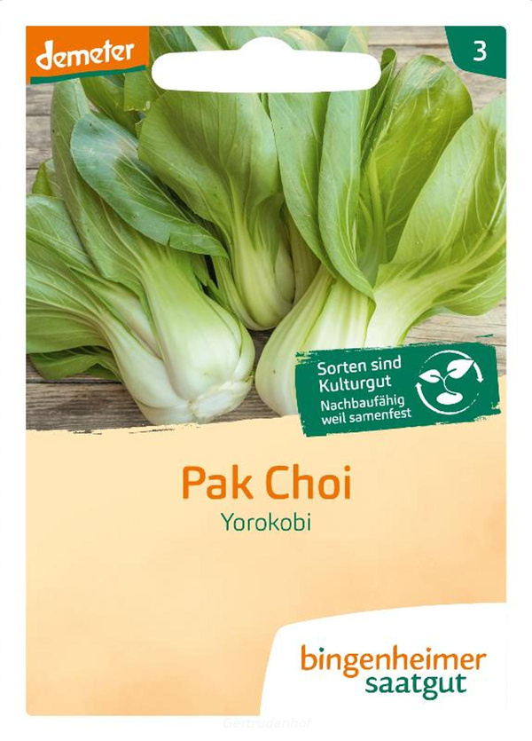 Produktfoto zu Pak Choi Kohl Saatgut