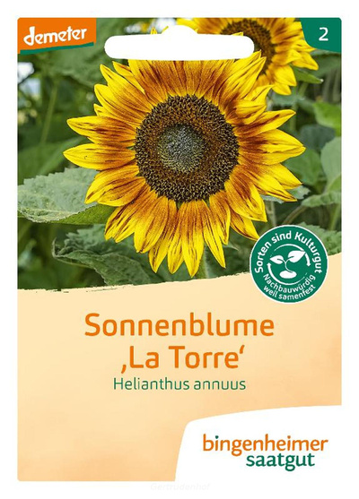 Produktfoto zu Sonnenblume (Saatgut)