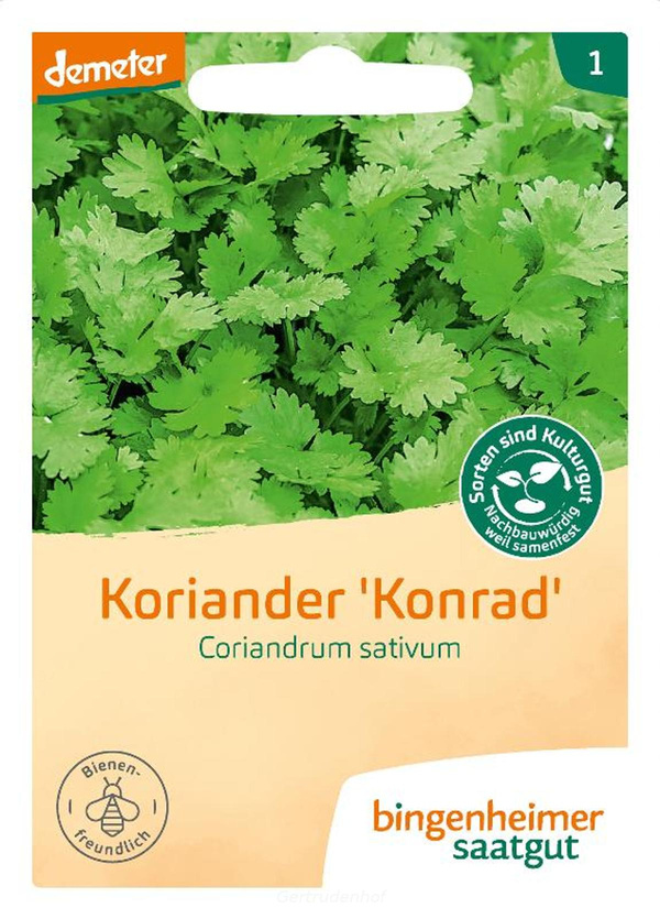 Produktfoto zu Koriander Saatgut