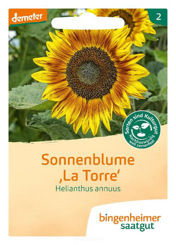 Produktfoto zu Sonnenblume (Saatgut)