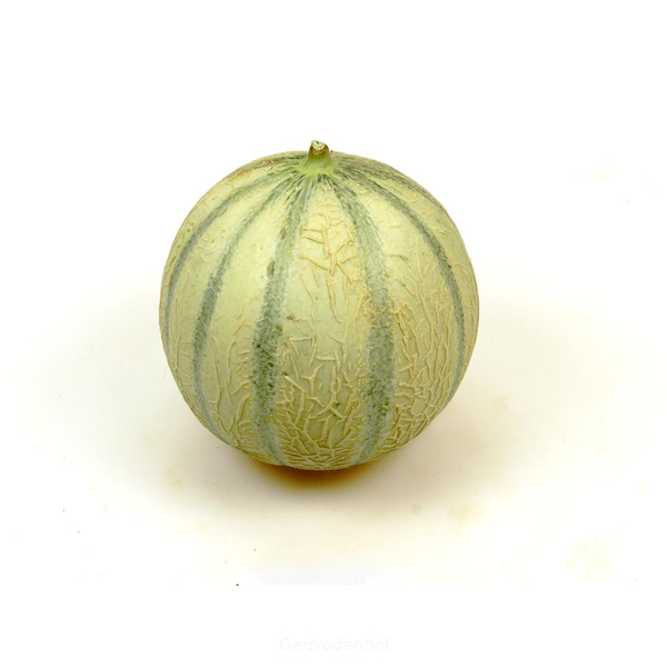 Produktfoto zu Honigmelone (Stück)
