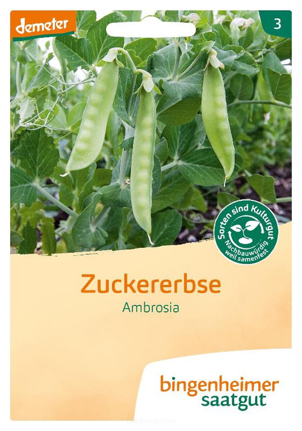 Produktfoto zu Zuckererbse (Saatgut)