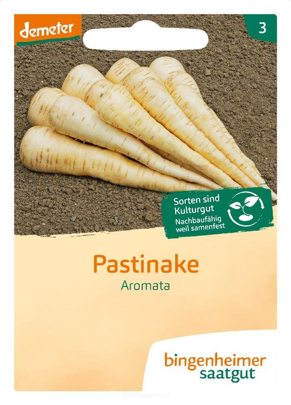 Produktfoto zu Pastinake (Saatgut)