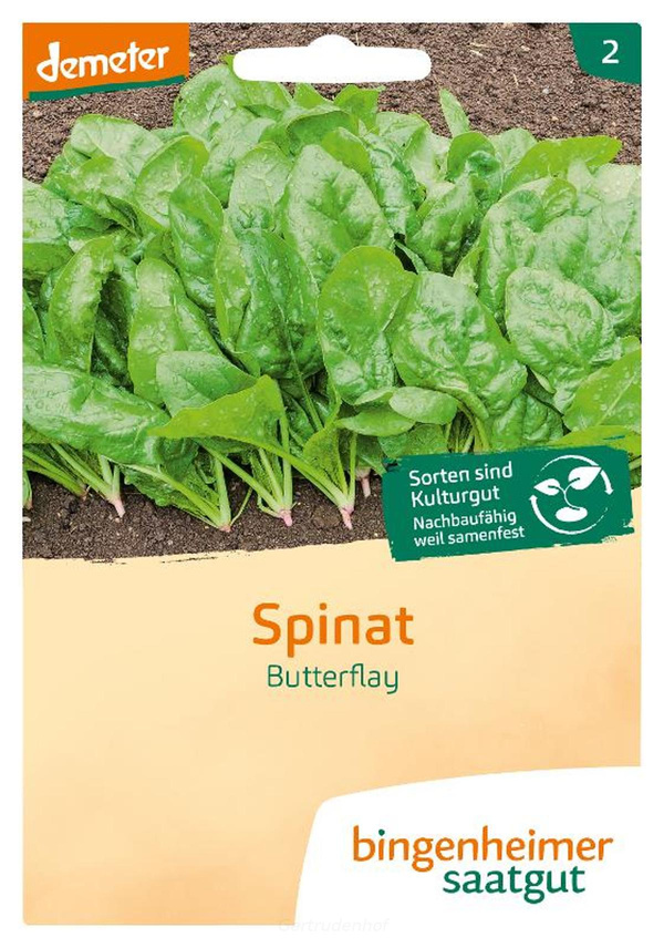 Produktfoto zu Spinat (Saatgut)