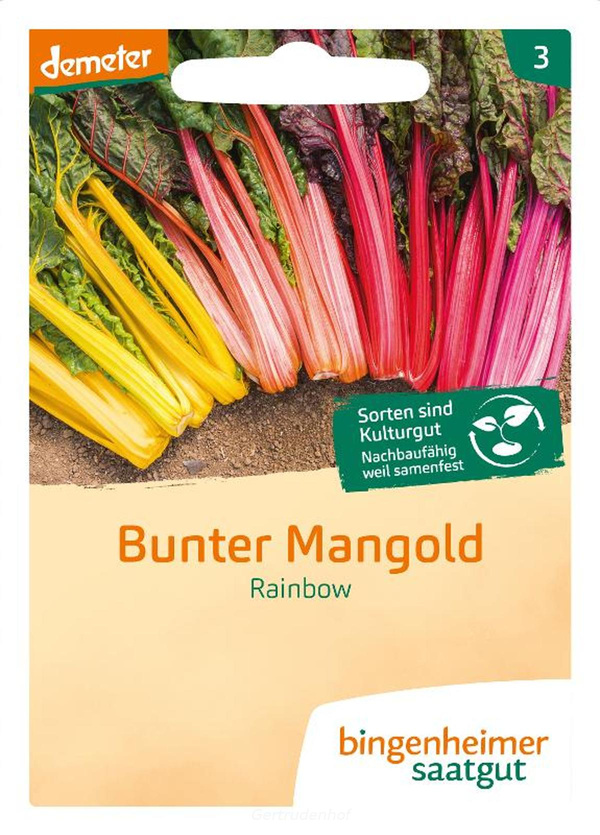 Produktfoto zu Bunter Mangold (Saatgut)