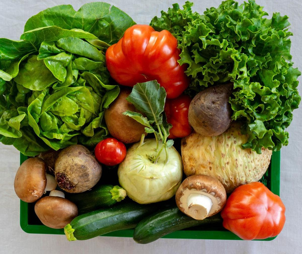 Rohkostkiste-2 mittel