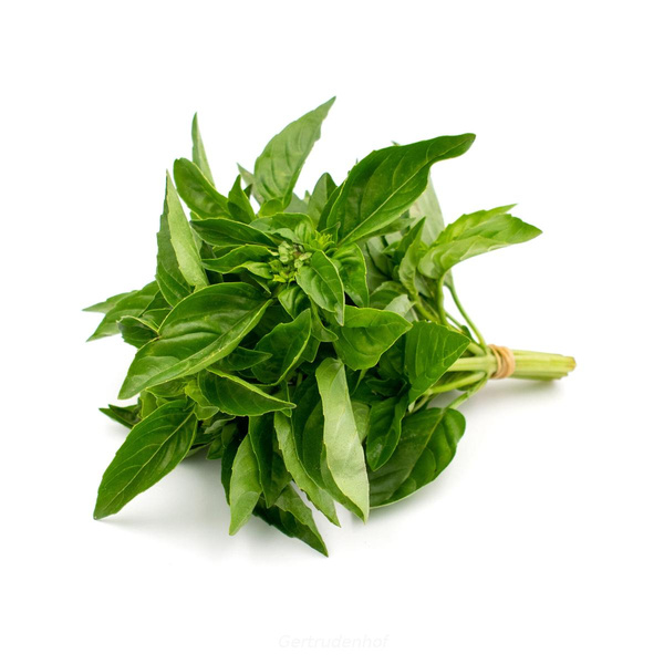 Produktfoto zu Basilikum, Bund, regional