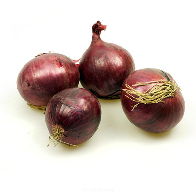 Produktfoto zu Zwiebeln, rot, regional