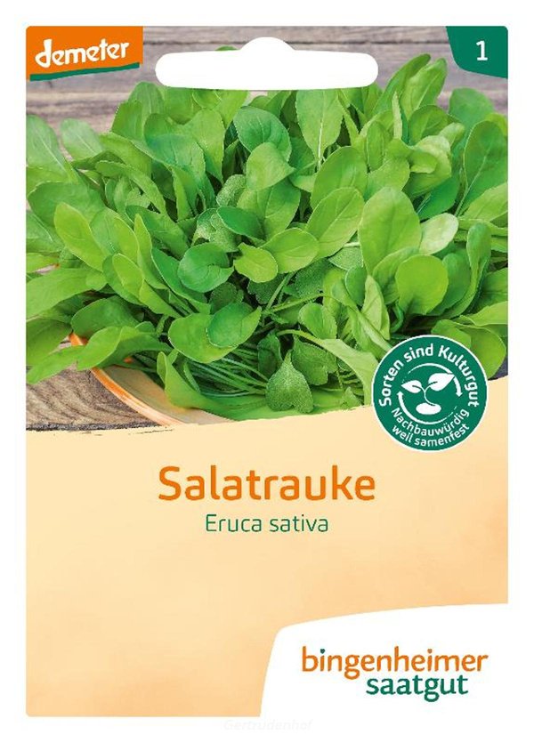 Produktfoto zu Salatrauke (Saatgut)