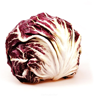 Produktfoto zu Radicchio (kg), regional