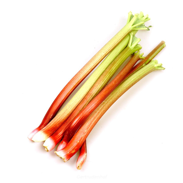 Produktfoto zu Rhabarber, regional