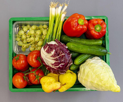 Produktfoto zu Obst-Rohkostkiste