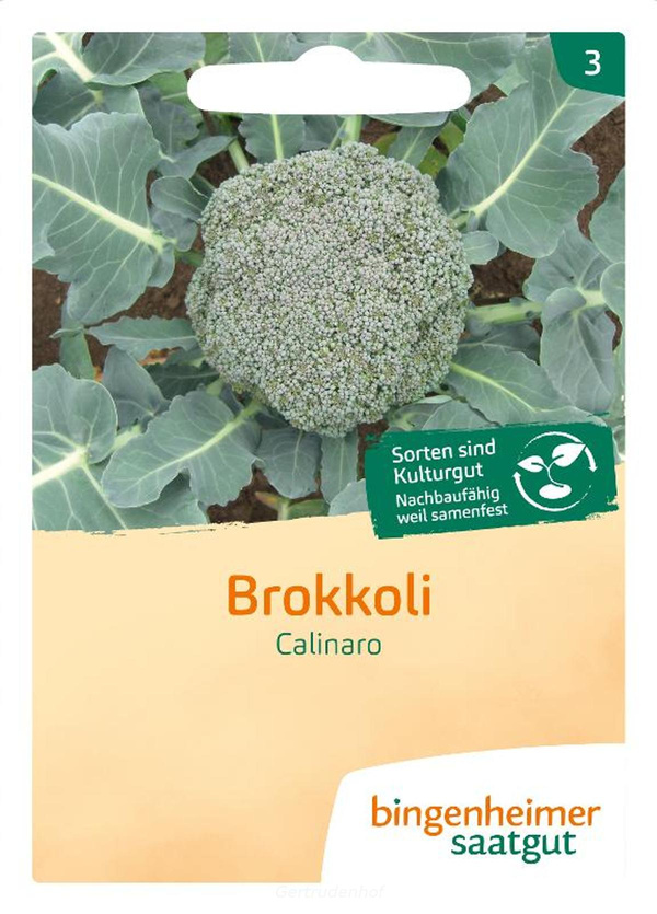 Produktfoto zu Brokkoli Calinaro (Saatgut)