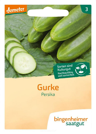 Produktfoto zu Freiland Gurken Saatgut