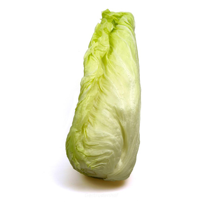 Produktfoto zu Zuckerhutsalat, regional