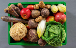 Produktfoto zu Regionalkiste