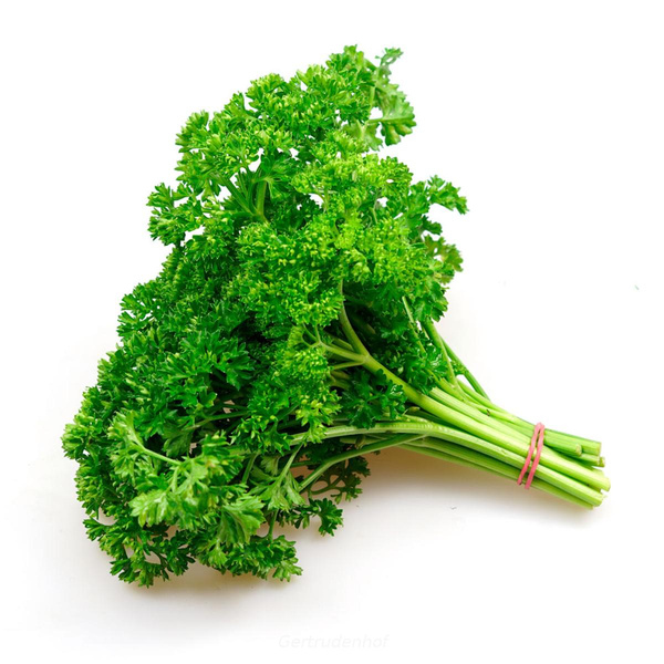 Produktfoto zu Krause Petersilie