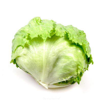 Produktfoto zu Salat, Eisbergsalat
