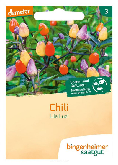 Produktfoto zu Chili Lila Luzi (Saatgut)