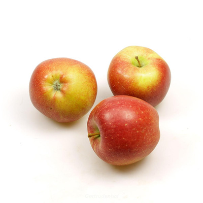 Produktfoto zu Äpfel Braeburn