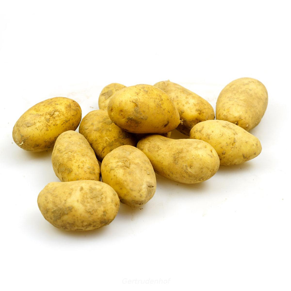Produktfoto zu Kartoffeln Früh- festk.12,5kg