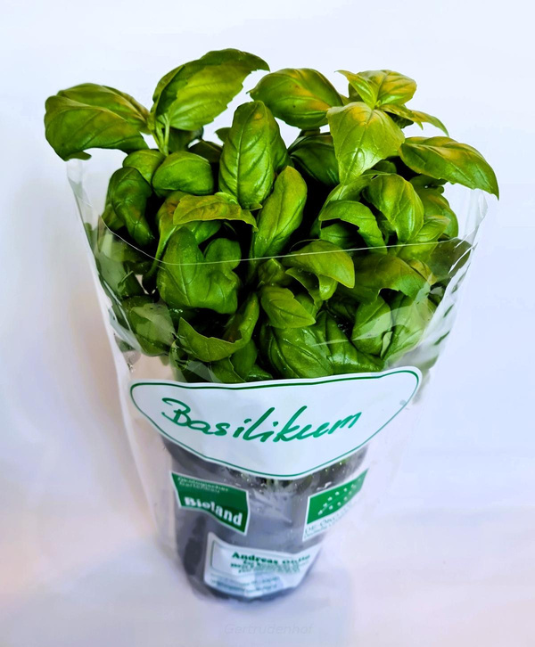 Produktfoto zu Topfkraut: Basilikum,regional