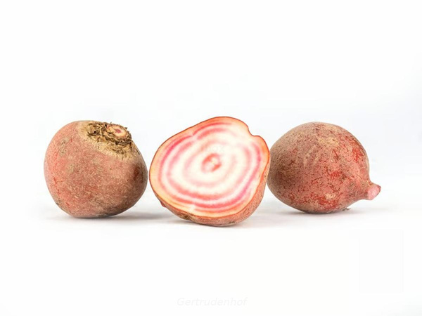 Produktfoto zu Ringelbete