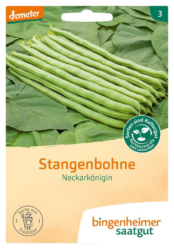 Produktfoto zu Stangenbohnen (Saatgut)