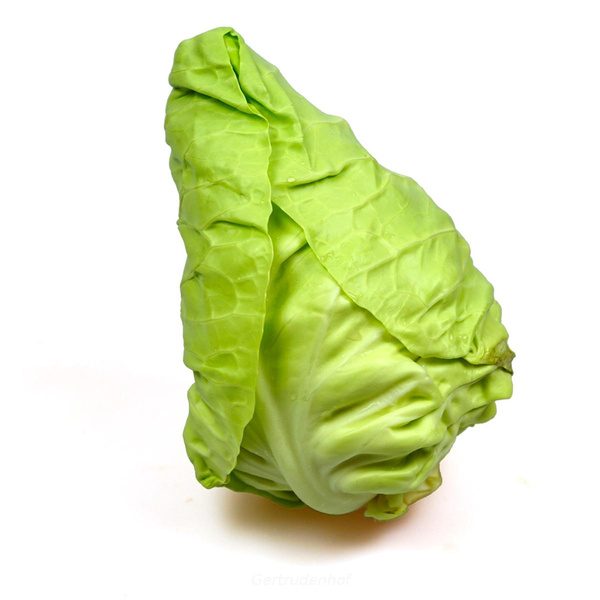 Produktfoto zu Spitzkohl, regional