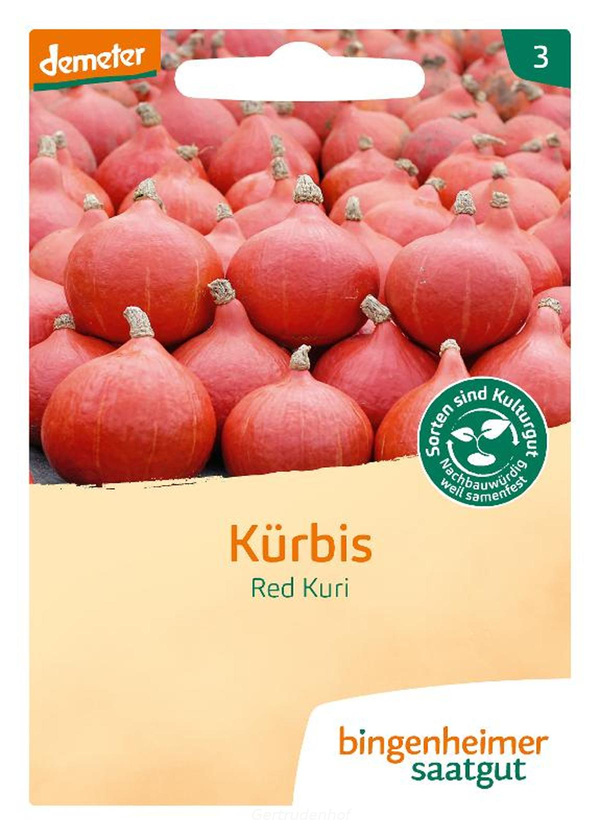 Produktfoto zu Kürbis Hokkaido (Saatgut)