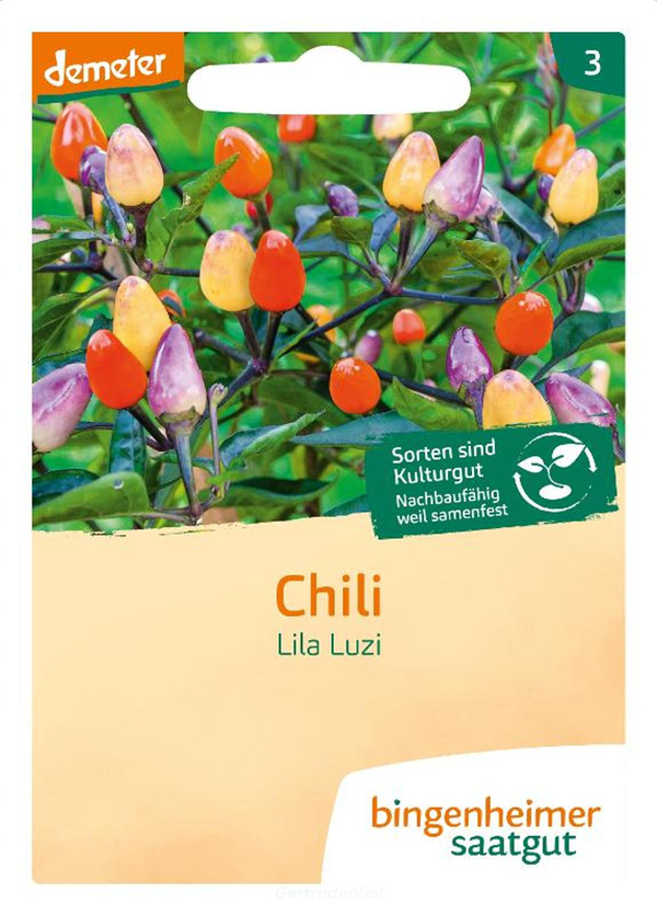 Produktfoto zu Chili Lila Luzi (Saatgut)