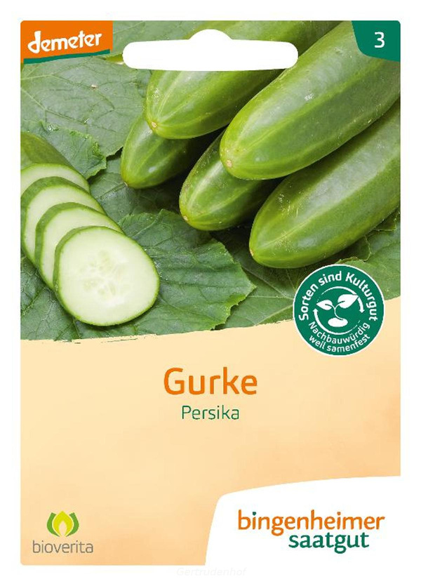 Produktfoto zu Freiland Gurken Saatgut