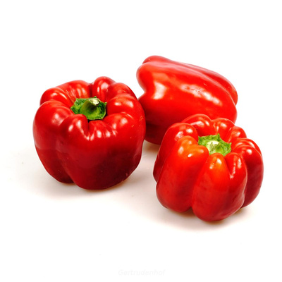 Produktfoto zu Paprika, rot aus Deutschland