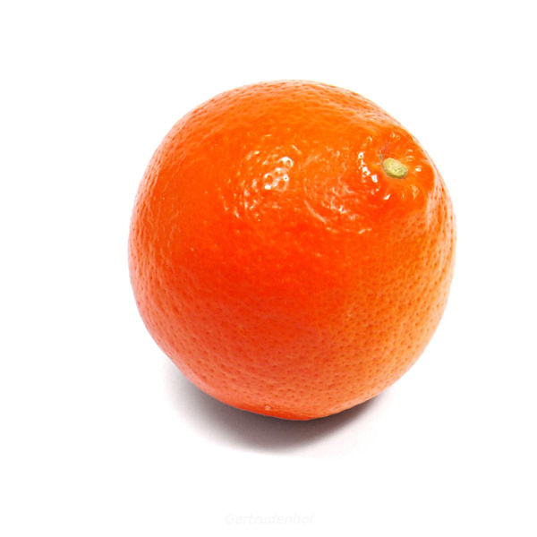 Produktfoto zu Minneolas