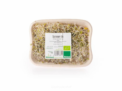 Produktfoto zu Sprossen-Mix