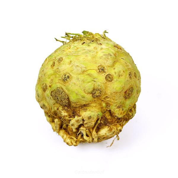 Produktfoto zu Knollensellerie (kg)