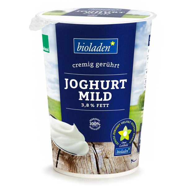 Produktfoto zu Joghurt 3,8% Becher 500g WBI