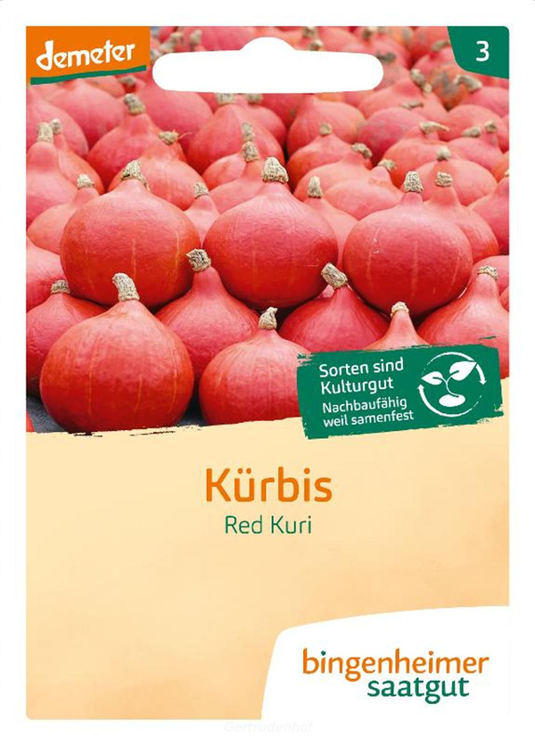 Produktfoto zu Kürbis Hokkaido (Saatgut)