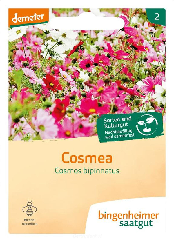 Produktfoto zu Cosmea (Saatgut)