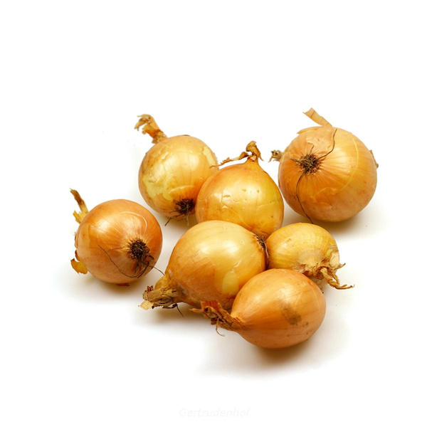 Produktfoto zu Zwiebeln, gelb, regional