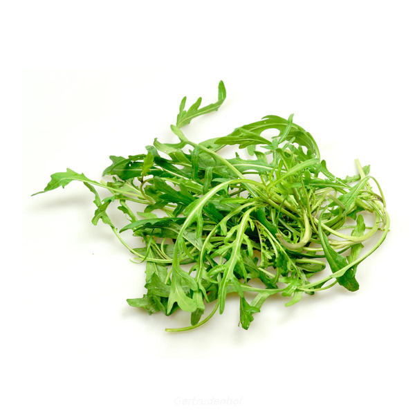 Produktfoto zu Rucola, Bd.