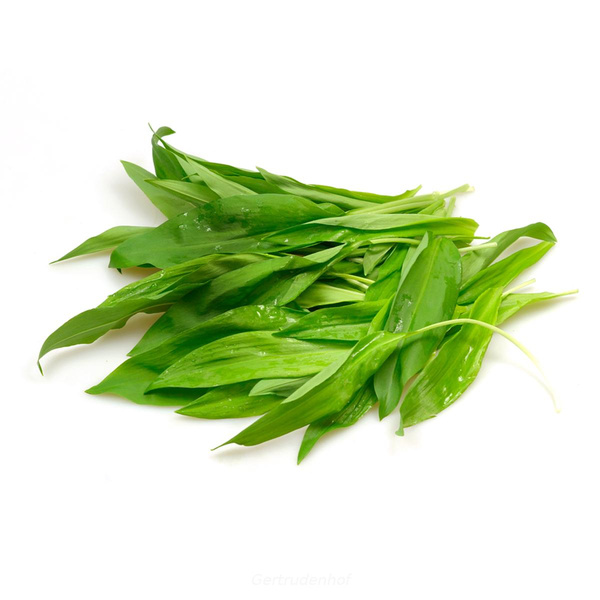 Produktfoto zu Bärlauch, Bund, regional