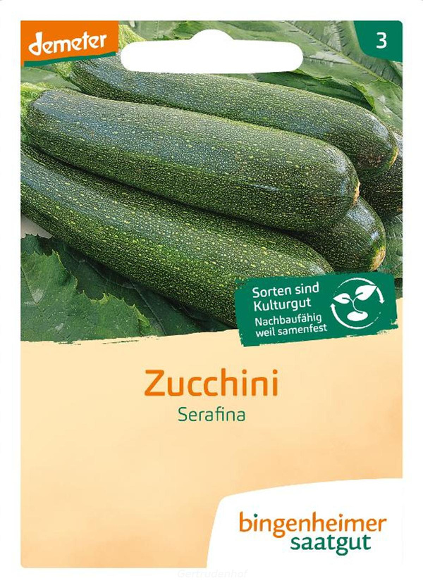 Produktfoto zu Zucchini (Saatgut)