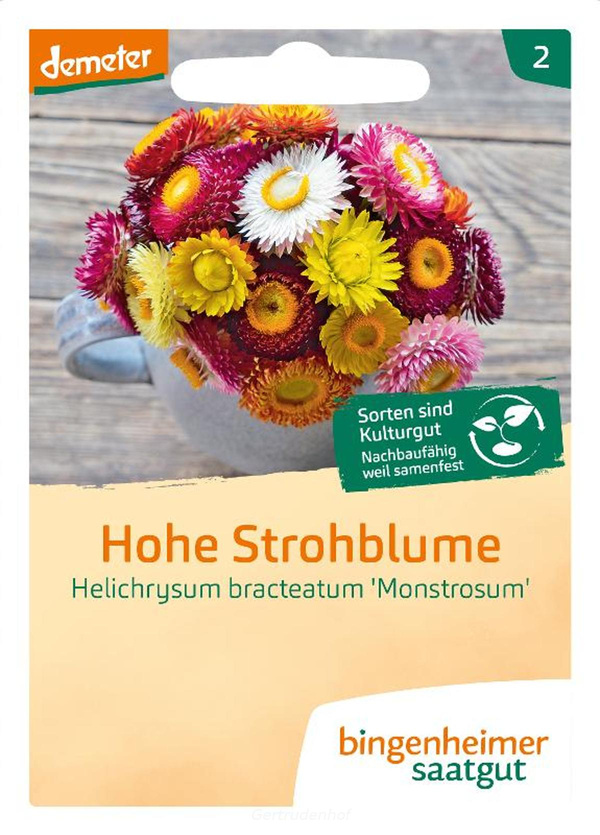 Produktfoto zu Hohe Strohblume Saatgut