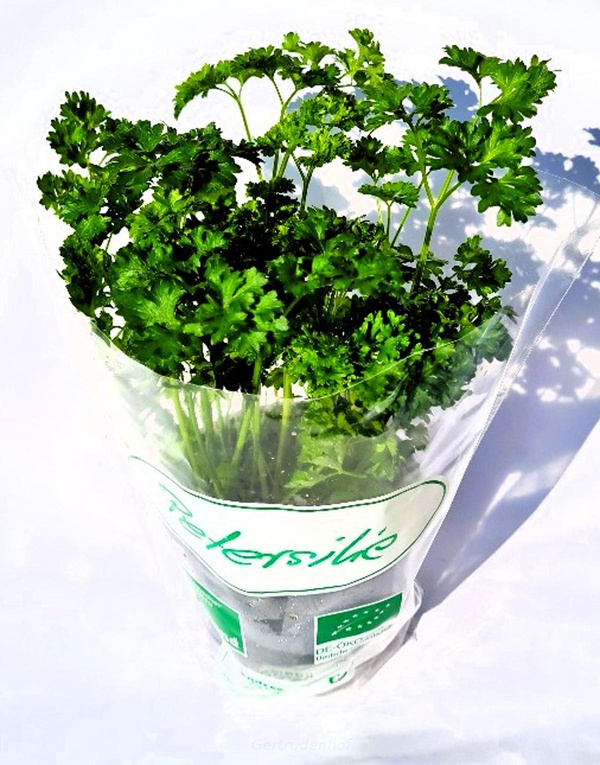 Produktfoto zu Topfkraut: Petersilie kraus