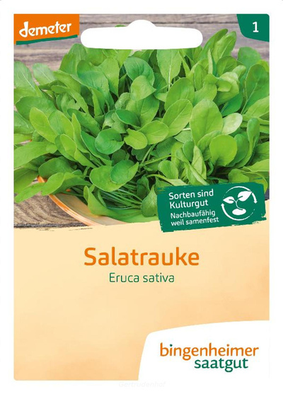 Produktfoto zu Salatrauke (Saatgut)
