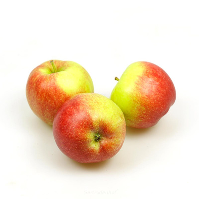 Produktfoto zu Äpfel Santana, regional