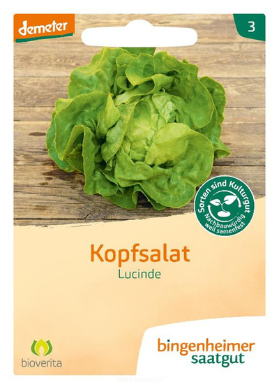Produktfoto zu Kopfsalat (Saatgut)